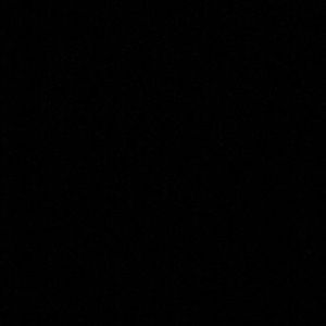 Meet your Posher, Reyna